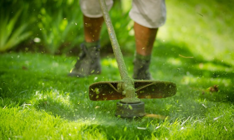 Técnico dando mantenimiento a un jardín